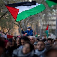 Illustrative: A boy waves a Palestinian flag as demonstrators march during a protest in support of Palestinians and calling for an immediate ceasefire in Gaza, in Barcelona, Spain, on January 20, 2024. (AP Photo/Emilio Morenatti, File)