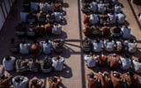 Suspected terrorists who were caught during the October 7 massacre and during the IDF operation in the Gaza Strip, seen at a courtyard in a prison in southern Israel, February 14, 2024. (Chaim Goldberg/ Flash90)