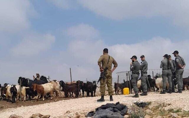 A Civil Administration soldier and Border Police officers evacuate the illegal West Bank outpost of Or Meir, May 1, 2024. (Courtesy of settler activists)