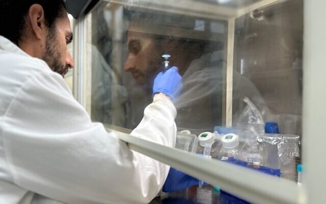 Scientists at Israeli biotech Profuse Technology develop a cocktail of small molecules that acts as a catalyst for muscle tissue growth for the production of lab-grown meat. (Courtesy) Scientists at Israeli biotech Profuse Technology develop a cocktail of small molecules that acts as a catalyst for muscle tissue growth for the production of lab-grown meat. (Courtesy)
