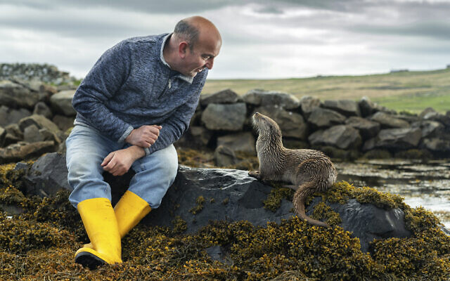 From 'Billy and Molly: An Otter Love Story,' being screened at May 2024 Doc Aviv film festival (Credit: National Geographic/Charlie Hamilton James)