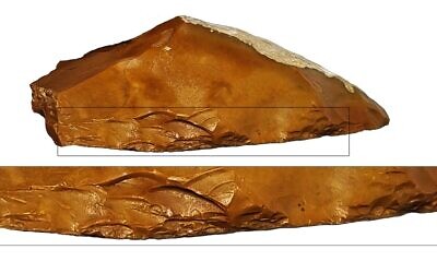 Close up of a Quina scraper found in the Jaljulia Cave prehistoric site in central Israel. (courtesy Tel Aviv University)
