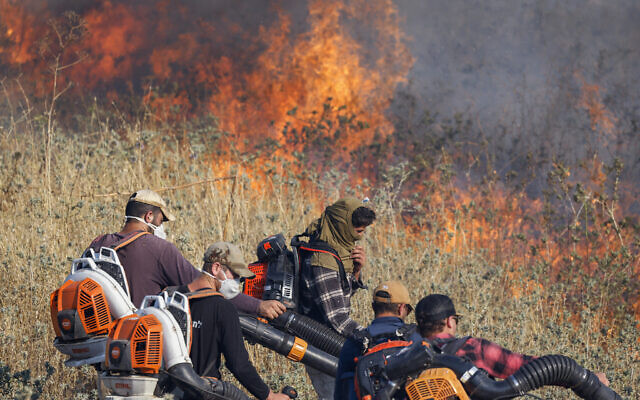 Israeli firefighters use leaf blowers to contain a fire sparked by rockets launched from southern Lebanon, near Katzrin in the Golan Heights on June 2, 2024. (Jalaa MAREY / AFP)