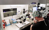 Illustrative: Lab staff prepare small petri dishes, each holding several 1-7 day old embryos, for cells to be extracted from each embryo to test for viability at the Aspire Houston Fertility Institute's in-vitro fertilization (IVF) laboratory, in Houston, Texas, February 27, 2024. (AP Photo/Michael Wyke)