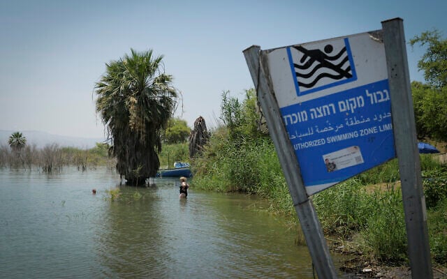 Illustrative: A view of people swimming in the Sea of Galilee, on June 12, 2024. (Michael Giladi/Flash90) Illustrative: A view of people swimming in the Sea of Galilee, on June 12, 2024. (Michael Giladi/Flash90)