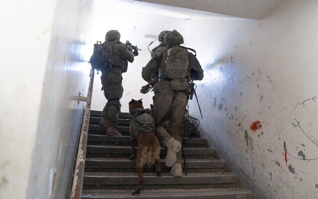 IDF troops operate in the Gaza Strip, in images released on August 18, 2024. (Israel Defense Forces) IDF troops operate in the Gaza Strip, in images released on August 18, 2024. (Israel Defense Forces)