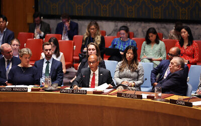 Deputy US Ambassador Robert Wood (C) speaks during a UN Security Council meeting on the situation in the Middle East, at the United Nations Headquarters on July 31, 2024, in New York City. (Michael M. Santiago/Getty Images/AFP)