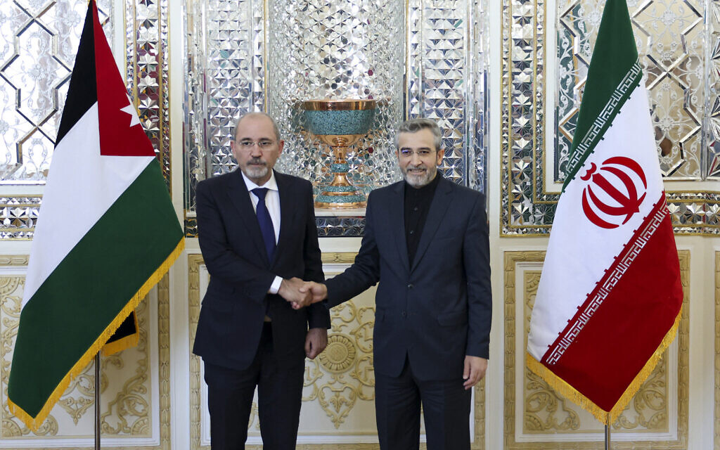 Iran's acting foreign minister Ali Bagheri (L) welcomes his Jordanian counterpart Ayman Safadi ahead of their meeting in Tehran on August 4, 2024. (AFP)