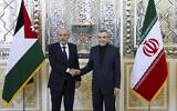 Iran's acting foreign minister Ali Bagheri (L) welcomes his Jordanian counterpart Ayman Safadi ahead of their meeting in Tehran on August 4, 2024. (AFP)