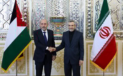 Iran's acting foreign minister Ali Bagheri (L) welcomes his Jordanian counterpart Ayman Safadi ahead of their meeting in Tehran on August 4, 2024. (AFP)