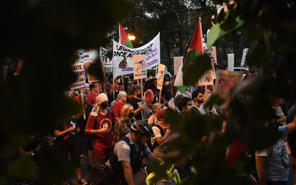 Anti-Israel demonstrators hold Palestinian flags, banners and signs during a protest on the eve of the Democratic National Convention (DNC) in Chicago, Illinois, on August 18, 2024. (MATTHEW HATCHER / AFP)