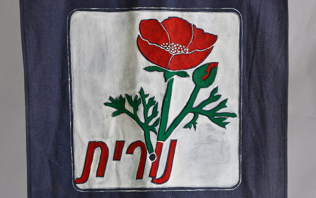 A detail from the flag of first graders featuring a buttercup, rescued at Kibbutz Be'eri, southern Israel, December 6, 2024. (Sarit Uziely)