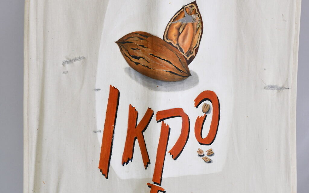 A detail from the flag of first graders featuring a pecan, rescued at Kibbutz Be'eri, southern Israel, December 6, 2024. (Sarit Uziely)