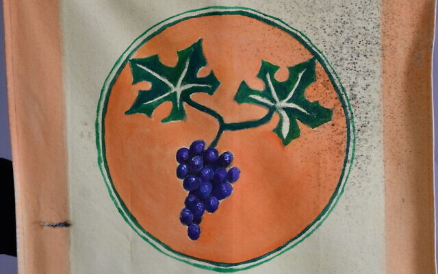 A detail from the flag of first graders with the symbol of a grape vine, rescued at Kibbutz Be'eri, southern Israel, December 6, 2024. (Sarit Uziely)