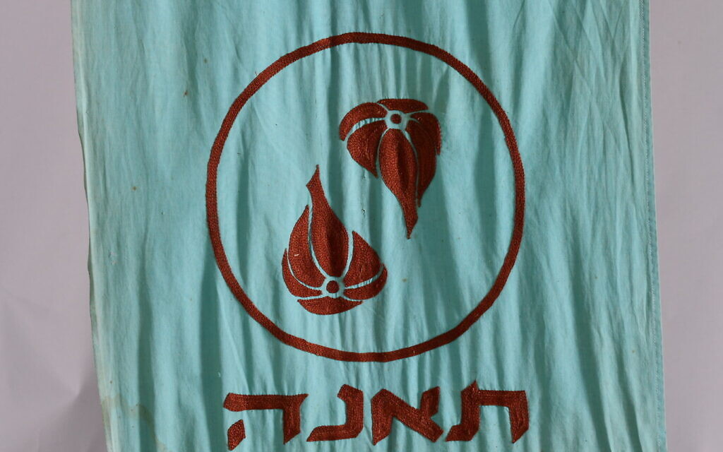 A detail from the flag of first graders featuring a fig, rescued at Kibbutz Be'eri, southern Israel, December 6, 2024. (Sarit Uziely)
