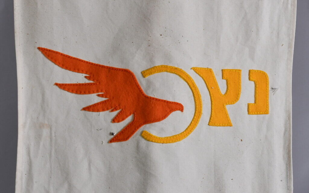 A detail from the flag of first graders featuring a hawk, rescued at Kibbutz Be'eri, southern Israel, December 6, 2024. (Sarit Uziely)