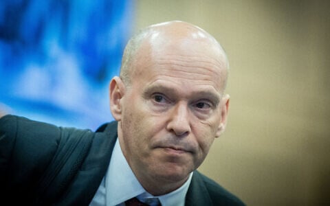 State Attorney Amit Aisman speaks during a Constitution, Law and Justice Committee meeting at the Knesset in Jerusalem, July 21, 2024. (Yonatan Sindel/Flash90)