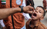 A child receives a vaccination for polio in Deir el-Balah in the central Gaza Strip on September 4, 2024. (Eyad BABA / AFP)