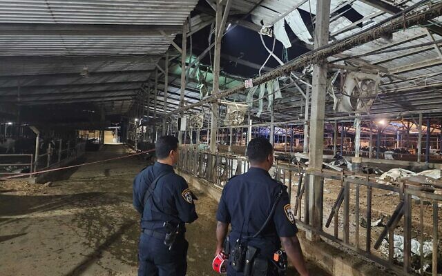 Police officers inspect the damage to a dairy in the Jezreel Valley that was directly hit by a rocket fired by Hezbollah from Lebanon, September 22, 2024. (Israel Police) Police officers inspect the damage to a dairy in the Jezreel Valley that was directly hit by a rocket fired by Hezbollah from Lebanon, September 22, 2024. (Israel Police)