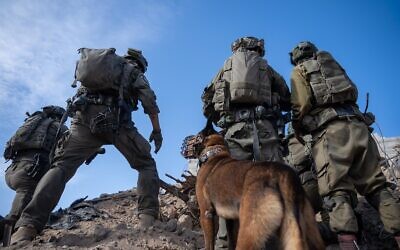 IDF troops operate in the Gaza Strip, in a handout image published September 25, 2024. (Israel Defense Forces)