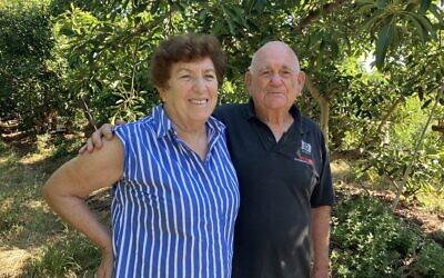 Clarise and Reuven Kfir in their avocado groves on Moshav Liman, September 26, 2024. (Diana Bletter/Times of Israel)