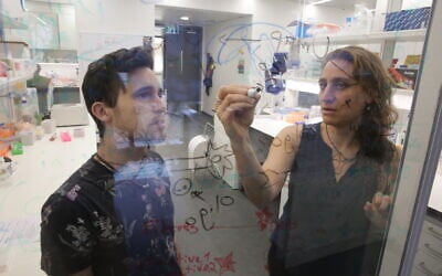 Prof. Naomi Habib, Hebrew University in Jerusalem, with Ph.D. student Gilad Green. (Yonit Schiller)