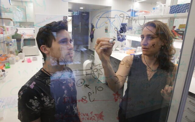 Prof. Naomi Habib, Hebrew University in Jerusalem, with Ph.D. student Gilad Green. (Yonit Schiller)