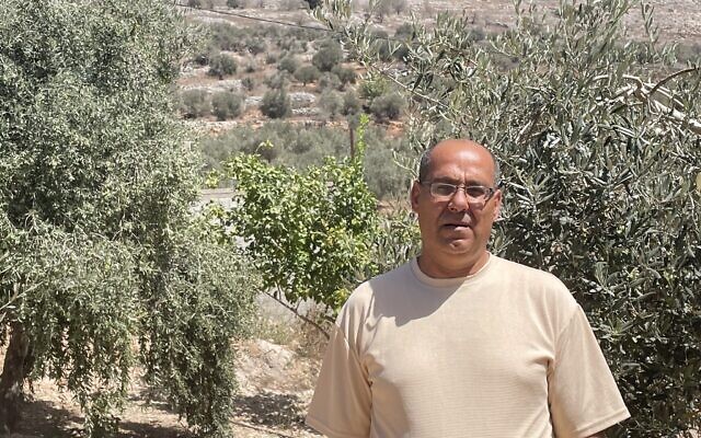 Bashar Eid, a Palestinian olive farmer and resident of the West Bank village of Burin, stands amid his olive trees next to his home with the illegal settlement outpost of Givat Ronen in the background. Olive groves belonging to Eid went up in flames on September 11. Eid and other villagers allege Israeli extremists who came from the nearby settlement of Yitzhar set the olive groves on fire, September 12, 2024. (Jeremy Sharon/Times of Israel)