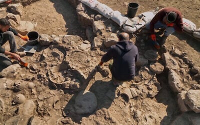 The IAA excavation near Beit Shemesh, in a photo released on October 29, 2024. (Emil Aladjem/IAA)