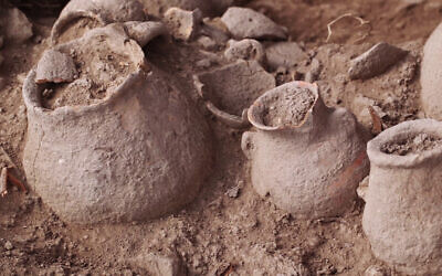 Some of the 5,000-year-old ceramic vessels discovered at the IAA excavation near Beit Shemesh, in a photo released on October 29, 2024. (Emil Aladjem/IAA)