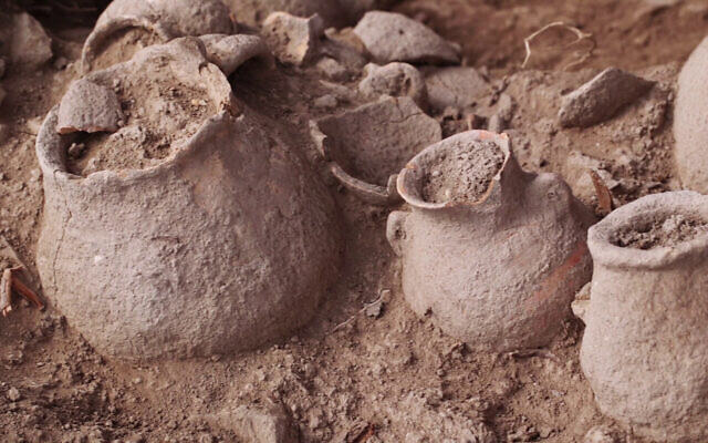 Some of the 5,000-year-old ceramic vessels discovered at the IAA excavation near Beit Shemesh, in a photo released on October 29, 2024. (Emil Aladjem/IAA)