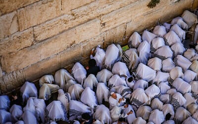 Jewish worshippers pray at the Western Wall, Judaism's holiest prayer site, in Jerusalem's Old City, during the Birkat Kohanim priestly blessing during the Jewish holiday of Sukkot, October 20, 2024. (Chaim Goldberg/Flash90)