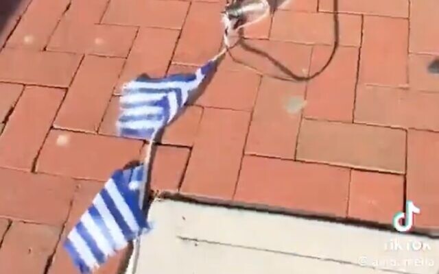 Greek flags torn down by a woman who mistook them for Israeli flags at Efi's Gyro in Montclair , New Jersey, in March 2024 (Screen grab/Tiktok used in accordance with Clause 27a of the Copyright Law) Greek flags torn down by a woman who mistook them for Israeli flags at Efi's Gyro in Montclair , New Jersey, in March 2024 (Screen grab/Tiktok used in accordance with Clause 27a of the Copyright Law)