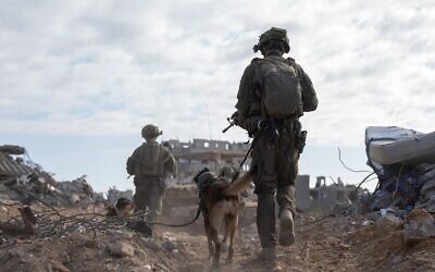 IDF troops with the 252nd Division operate in the Netzarim Corridor in the central Gaza Strip, in a handout image published October 3, 2024. (Israel Defense Forces)