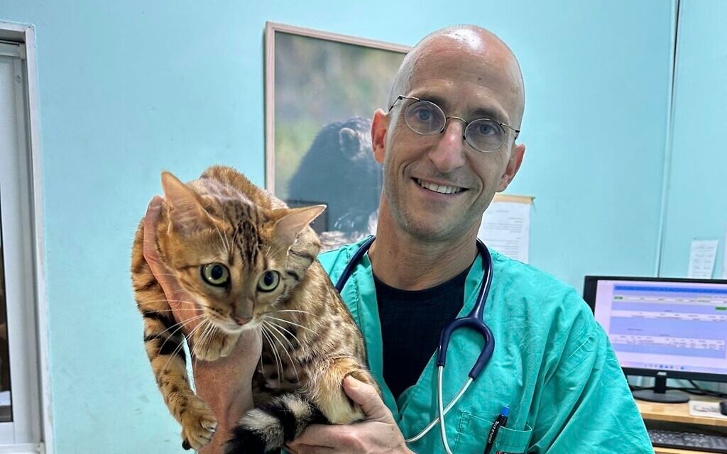 Dr. Raanan Rafaeli holds a feline patient during the war in Kiryat Shmona. (Courtesy)