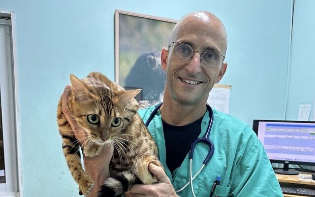 Dr. Raanan Rafaeli holds a feline patient during the war in Kiryat Shmona. (Courtesy)