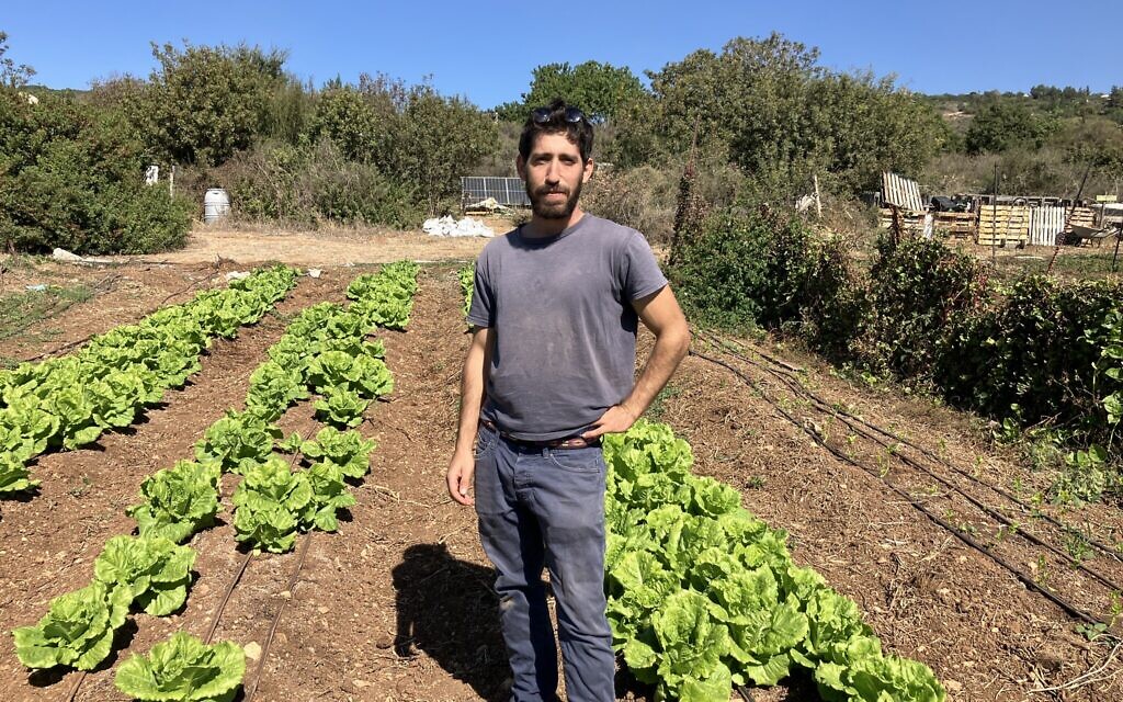 Raanan Ram, owner of Organic Farm in Klil, Western Galilee, on October 21, 2024. (Diana Bletter/Times of Israel) Raanan Ram, owner of Organic Farm in Klil, Western Galilee, on October 21, 2024. (Diana Bletter/Times of Israel)