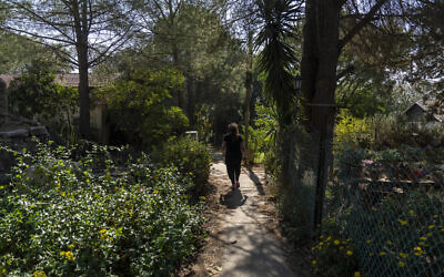 A woman walks in 'Trump Heights' in the Golan Heights, November 7, 2024. (AP Photo/Ariel Schalit)