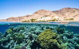 Healthy coral reefs off the coast of Eilat in southern Israel. (Meron Segev)