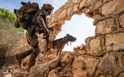 IDF troops operating in southern Lebanon in this picture released for publication on November 11, 2024 (Israel Defense Forces)