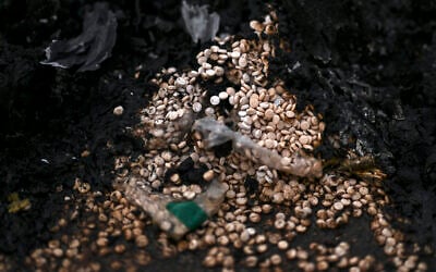 Pills of captagon are pictured after their burning to be disposed of upon their discovery at Mazzeh Military Airport in the west of Damascus on December 12, 2024. (Aris Messinis/AFP)