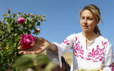 Syria's first lady, Asma al-Assad, the wife of Syrian President Bashar al-Assad, picks roses during the Damascene Rose Harvest Festival in the village of al-Marah in the mountainous region of Qalamoun, Syria, Thursday, May 25, 2023. (AP Photo/Omar Sanadiki)