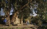 Families at Ein Alamein, near Had Nes, Golan Heights, on December 13, 2024. (Michael Giladi/Flash90)