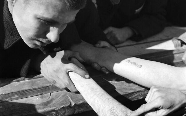 A young man checks the numbers tattooed on the arms of Jewish Polish prisoners coming from Auschwitz, in Dachau concentration camp in late April or early May 1945, after the Dachau's camp was liberated by the US army on April 29, 1945. (ERIC SCHWAB / AFP)