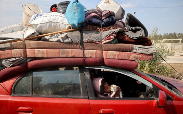 A displaced Palestinian child playes with a kitten in a car on Salah al-Din road in Nuseirat as people make their way to the northern part of the Gaza strip on January 28, 2025. (Eyad BABA / AFP)