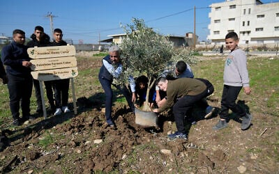 Palestinian farmers plant the first olive tree ahead of the replant of a 10 dunam, 2.5 acres, of land with 250 olive trees, part of the joint Freedom Farm project of the Palestinian Farmers Union and the Treedom for Palestine 2025 in memory of President Jimmy Carter, in the West Bank city of Tulkarem, January 13, 2025. (AP Photo/Nasser Nasser)