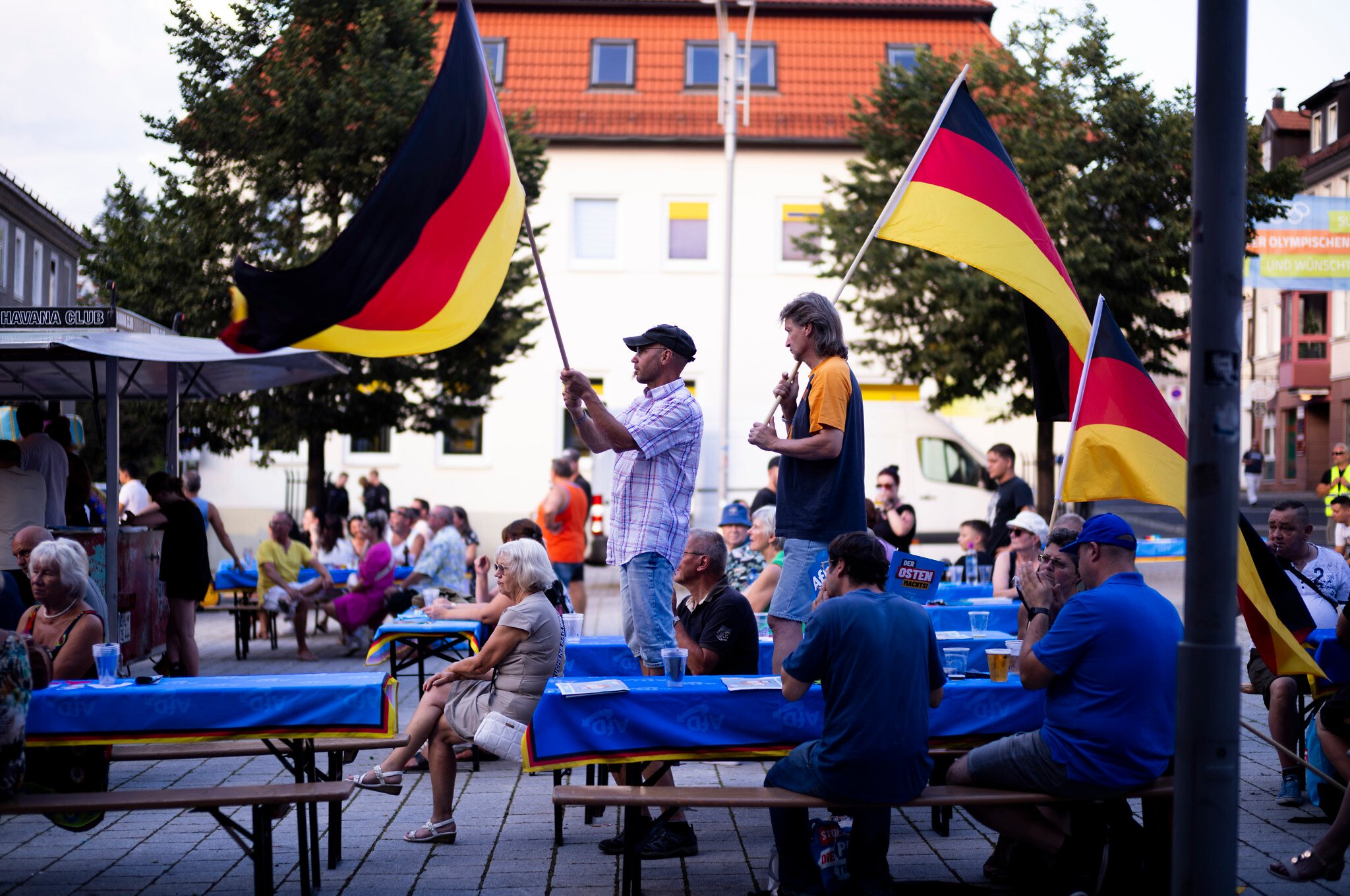 AfD Sues German Spy Agency Over Extremist Classification