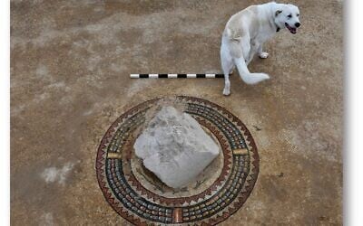 Archaeologists from the Hebrew University of Jerusalem finished their second season of excavations at the Hyrcania fortress in the Judean desert in the West Bank in January 2025 in cooperation with the Staff Officer of Archaeology of Judea and Samaria. In the Byzantine compound, they uncovered a medallion mosaic which had been intentionally defaced with a column drum from the Herodian period. (Oren Gutfeld, The Hebrew University of Jerusalem)