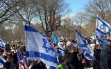 Hundreds gather in New York’s Central Park for a rally urging a continuation of the Gaza hostage-ceasefire deal until all captives have been returned to Israel, February 23, 2025 (X screenshot, used in accordance with clause 27a of the copyright law).