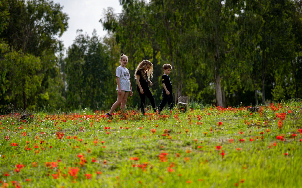 Visitors enjoy anemone season in southern Israel, February 2024 (Courtesy)